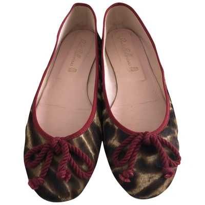 Pre-owned Pretty Ballerinas Pony-style Calfskin Ballet Flats In Multicolour