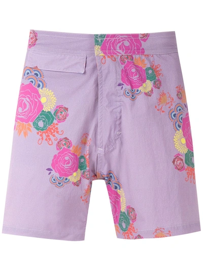 Amir Slama Printed Shorts In Purple