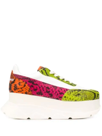 Joshua Sanders Neon Snake Print Trainers In Pink