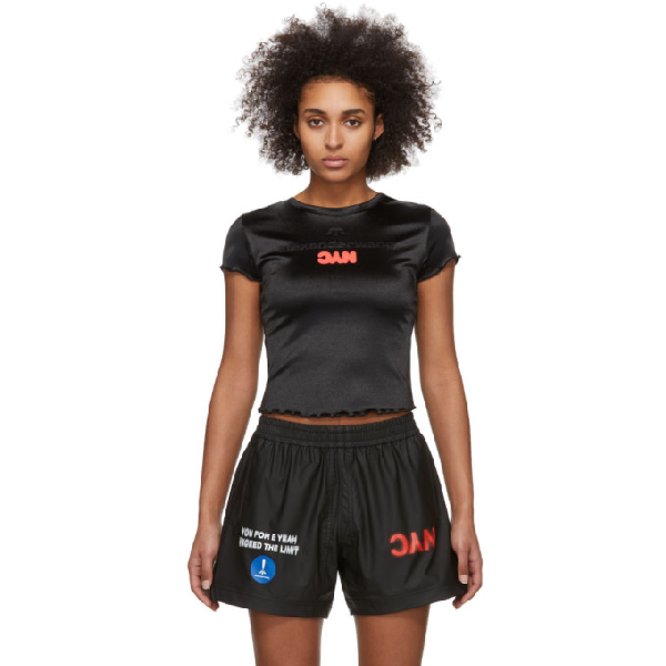 adidas alexander wang tee
