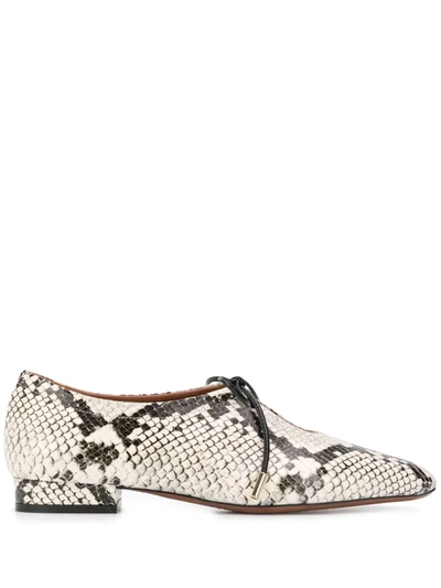 L'autre Chose Snakeskin-effect Lace-up Shoes In White