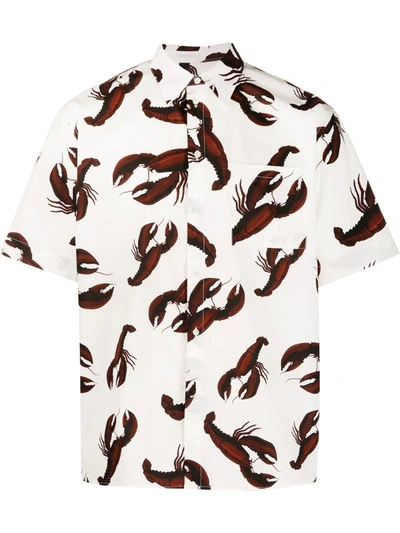 Msgm Lobster-print Short-sleeved Shirt In Multicolor