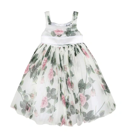 Dolce & Gabbana Kids' Floral Tulle Dress In White