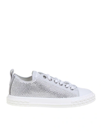 Giuseppe Zanotti Blabber Sneakers In White Suede In Light Grey