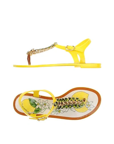 Dolce & Gabbana Toe Strap Sandals In Yellow