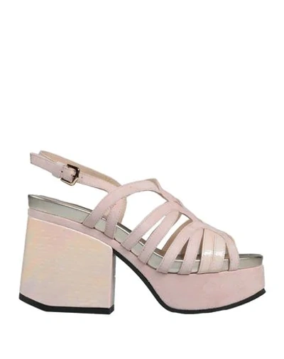 Alberto Guardiani Sandals In Pink