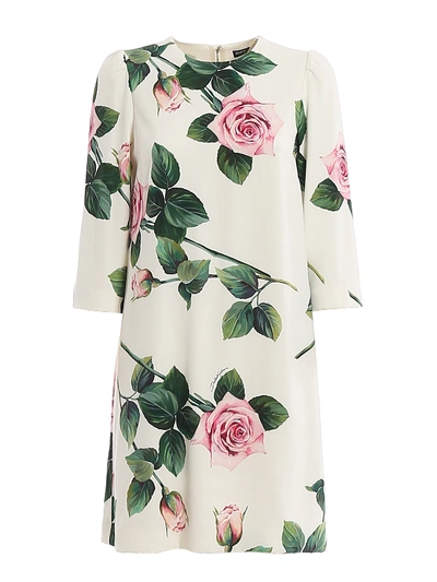 Dolce & Gabbana Tropical Rose Printed Short Dress In White