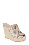 Taupe Embossed Snake Print