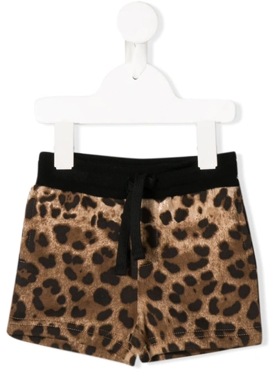 Dolce & Gabbana Babies' Leopard Print Shorts In Brown