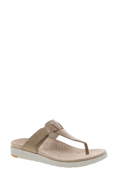 Dansko Cece Flip Flop In Sand Burnished Leather