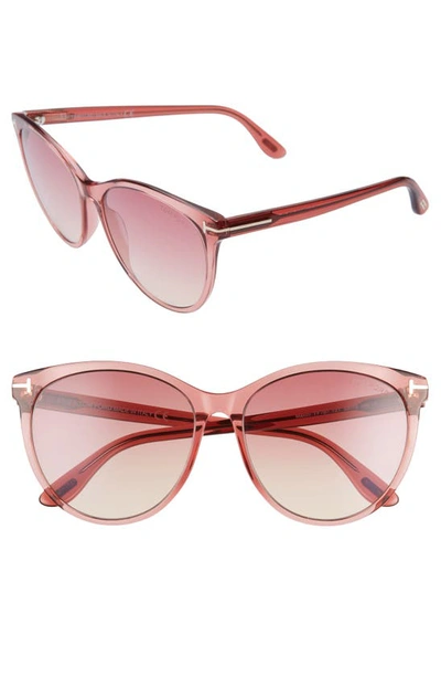 Tom Ford Maxim 59mm Gradient Cat Eye Sunglasses In Pink