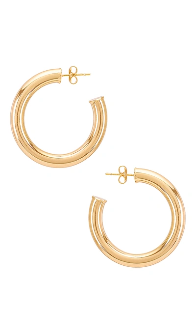 Natalie B Jewelry Adina Hoop In Gold