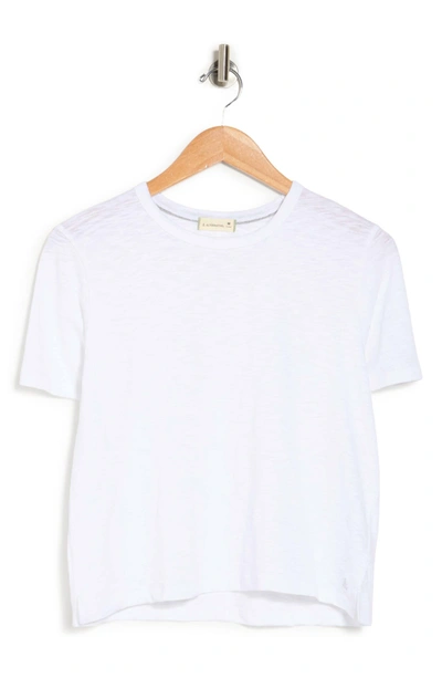 Alternative Hayes Crop Slub Organic Cotton T-shirt In White