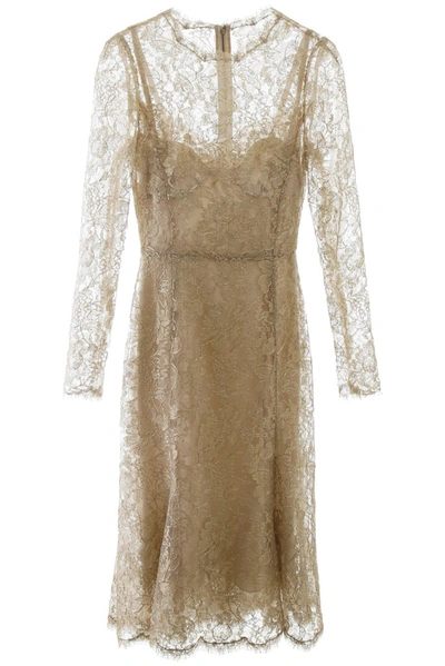 Dolce & Gabbana Lace Midi Dress In Gold