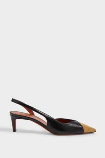 Altuzarra Kit Gold-tone Leather Pumps In Black