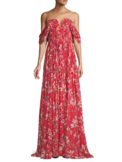 Amur Floral-print Maxi Dress In Red Multi