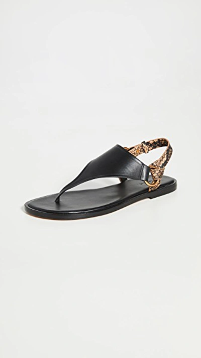Vince Pharis Slingback Snakeskin-embossed Leather Thong Sandals In Black/tan