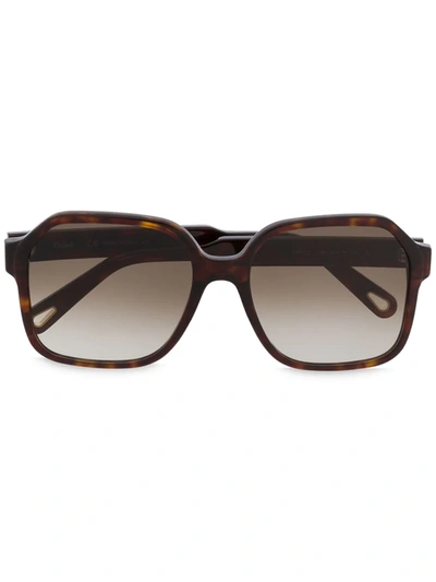 Chloé Willow Square-frame Tortoiseshell Acetate Sunglasses