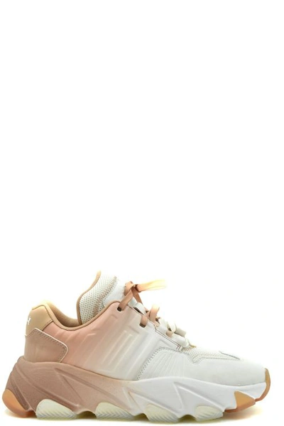 Ash Extasy Leather And Mesh Sneakers With Degrade Effect In White