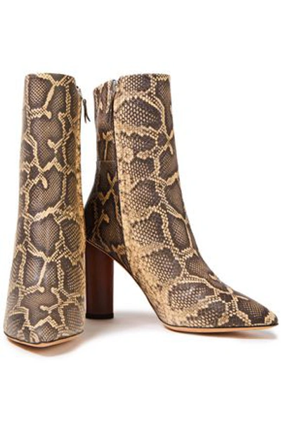 Iro Spokane Snake-effect Leather Ankle Boots In Animal Print