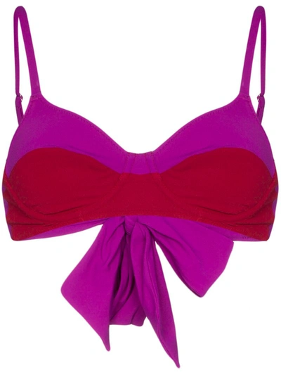 Araks Yelena Two-tone Bikini Top In Purple