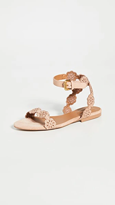 See By Chloé Kristy Flat Floral Suede Sandals In Cipria ModeSens