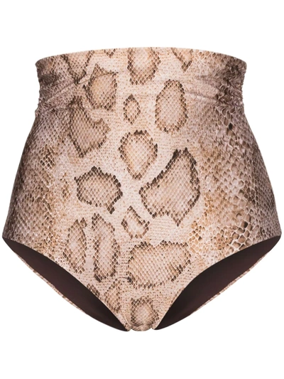 Mara Hoffman Net Sustain Bobbi Snake-print Bikini Briefs In Brown