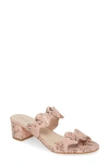 Patricia Green Palm Beach Slide Sandal In Rose Leather