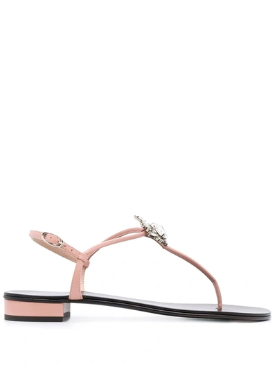 Giuseppe Zanotti Crystal-embellished 25mm Strappy Sandals In Pink