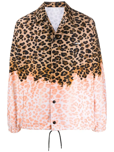 Msgm Leopard Print Lightweight Jacket In Brown