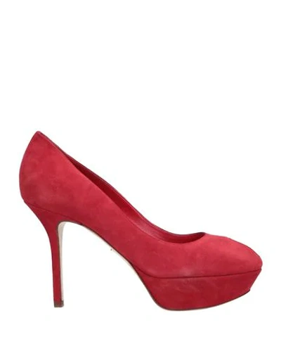 Sergio Rossi Pumps In Red