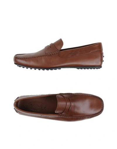 Tod's Loafers In Brown