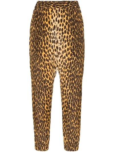 R13 Cheetah-print Harem Trousers In Multi