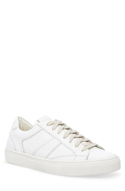 Steve Madden Hirsch Sneaker In White Leather