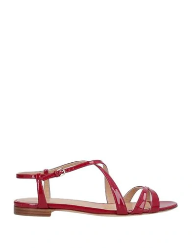 Sergio Rossi Sandals In Red
