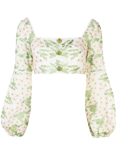 Alexis Ikala Floral-embroidered Top In White