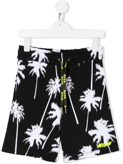 Msgm Palm Print Bermuda In Black In Black