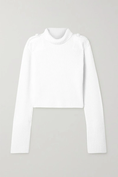 Helmut Lang Organza-trimmed Ribbed Merino Wool Turtleneck Sweater In Cream