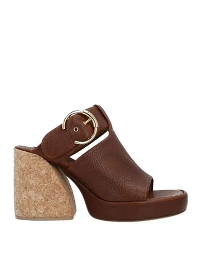 Chloé Sandals In Cocoa