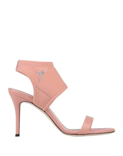 Giuseppe Zanotti Sandals In Pink