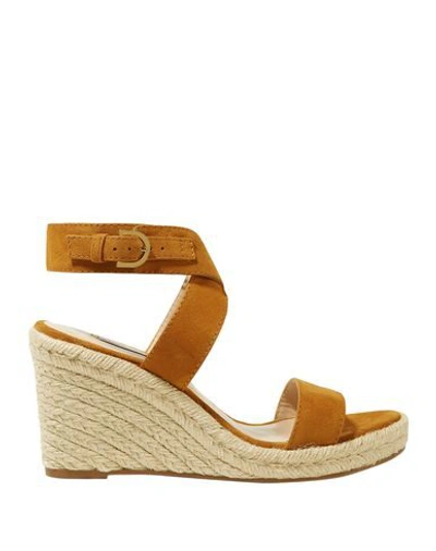 Stuart Weitzman Espadrilles In Brown