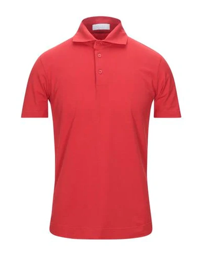 Cruciani Polo Shirts In Red