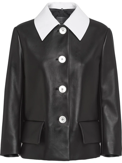 Prada Detachable Contrasting Collar Jacket In Black