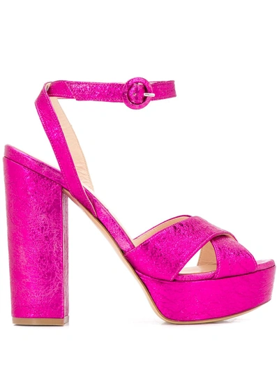 P.a.r.o.s.h Cathy Platform Sandals In Pink
