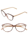 Kate Spade Olive 53mm Reading Glasses In Dark Havana