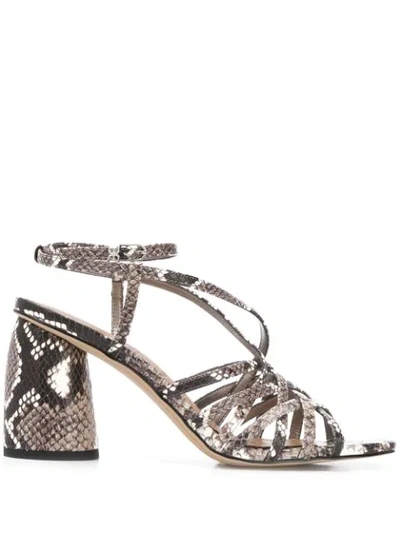 Sam Edelman Women's Daffodil Ankle-wrap Snakeskin-embossed Leather Sandals