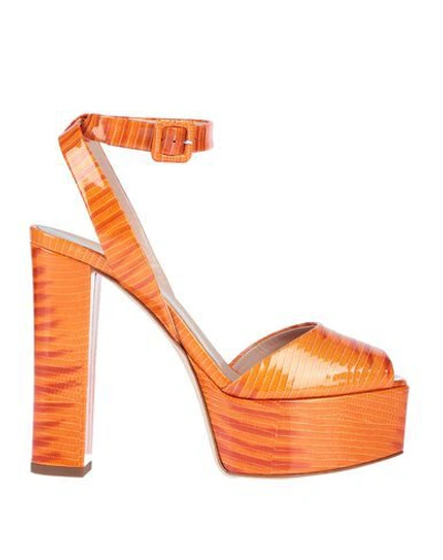 Giuseppe Zanotti Sandals In Orange