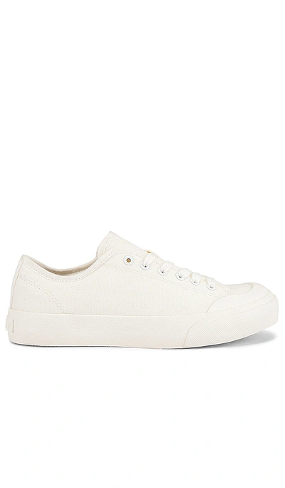 Dolce Vita Unisex Bryton Sneakers In White