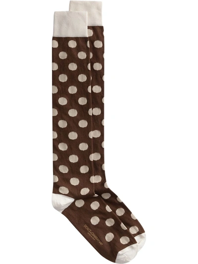 Dolce & Gabbana Stretch Cotton Jacquard Socks With Large Polka-dots In Brown