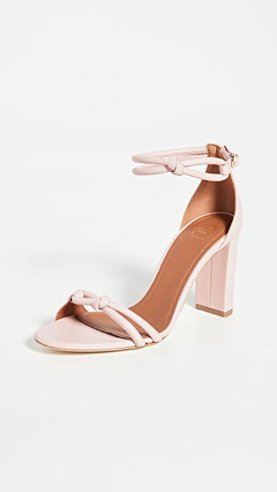 Malone Souliers 85mm Fenn Sandals In Baby Pink/baby Pink